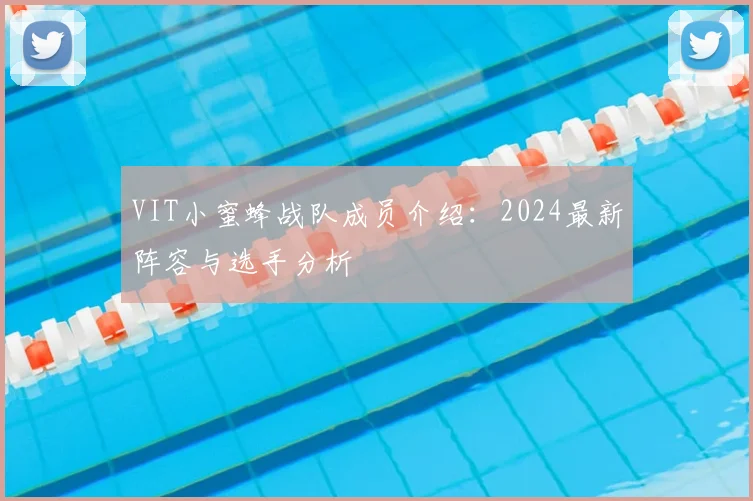 VIT小蜜蜂战队成员介绍:2024最新阵容与选手分析