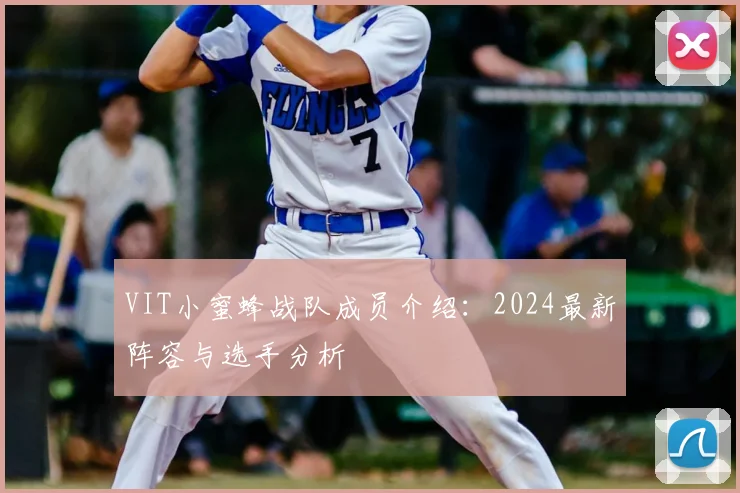 VIT小蜜蜂战队成员介绍:2024最新阵容与选手分析