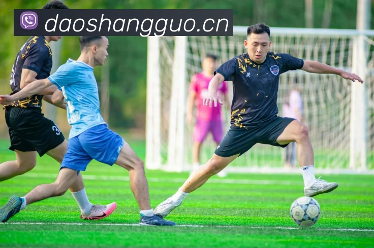 开云体育官方网站APP 高清赛事图